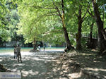 Voidomatis River near Aristi Photo 1 - Zagori Epirus - Photo JustGreece.com