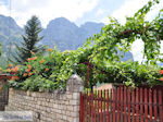 Traditional Village Papingo Photo 3 - Zagori Epirus - Photo JustGreece.com