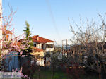 Arnaia (Arnea) Photo 2 |Mount Athos Area Halkidiki | Greece - Photo JustGreece.com