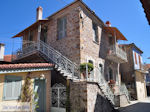 JustGreece.com Ktima Livadioti Marathoussa Photo 009 | Mount Athos Area Halkidiki | Greece - Foto van JustGreece.com