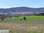 JustGreece.com Wine producer Claudia Papagianni Arnaia 4 | Mount Athos Area Halkidiki | Greece - Foto van JustGreece.com