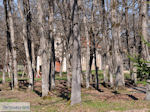 Park Arnaia | Mount Athos Area Halkidiki | Greece - Photo JustGreece.com