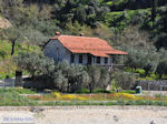 JustGreece.com The Holly Mountain of Athos Photo 14 | Mount Athos Area Halkidiki | Greece - Foto van JustGreece.com