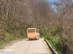 JustGreece.com Met the bus of Dafni to Karyes Photo 3 | Mount Athos Area Halkidiki | Greece - Foto van JustGreece.com