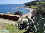 Mylopotamos | The Holly Mountain of Athos Photo 3 | Mount Athos Area Halkidiki | Greece - Photo JustGreece.com