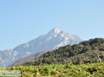 Dit is the Holly Berg Athos Photo 1 | Mount Athos Area Halkidiki | Greece - Photo JustGreece.com
