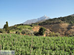 Dit is the Holly Berg Athos Photo 2 | Mount Athos Area Halkidiki | Greece - Photo JustGreece.com