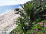 JustGreece.com Mooie Beaches near Eagles Palace Ouranoupolis Photo 7 | Mount Athos Area Halkidiki | Greece - Foto van JustGreece.com