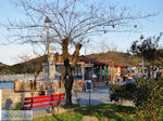 Small island Kapros near Olympiada | Mount Athos Area Halkidiki | Greece - Photo JustGreece.com