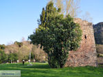 Aristoteles park Stageira Photo 6 | Mount Athos Area Halkidiki | Greece - Photo JustGreece.com