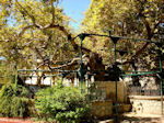 JustGreece.com Kos town - Greece  Photo 3 - Foto van JustGreece.com