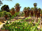 Kos town - Greece  Photo 5 - Photo JustGreece.com