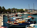 Kos town - Greece  Photo 9 - Photo JustGreece.com