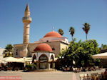 JustGreece.com Kos town - Greece  Photo 16 - Foto van JustGreece.com