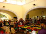 JustGreece.com Kos town - Greece  Photo 18 - Foto van JustGreece.com