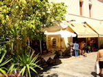 Kos town - Greece  Photo 21 - Photo JustGreece.com
