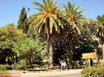 Kos town - Greece  Photo 27 - Photo JustGreece.com