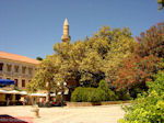 Kos town - Greece  Photo 35 - Photo JustGreece.com