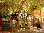 JustGreece.com Kos town - Greece  Photo 47 - Foto van JustGreece.com
