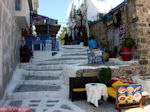 JustGreece.com Kos town - Greece  Photo 49 - Foto van JustGreece.com