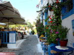Kos town - Greece  Photo 52 - Photo JustGreece.com