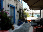 Kos town - Greece  Photo 54 - Photo JustGreece.com