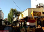 Kos town - Greece  Photo 62 - Photo JustGreece.com