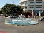 JustGreece.com Kos town - Greece  Photo 65 - Foto van JustGreece.com