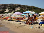 JustGreece.com Paradise Beach Kos - Greece  Photo 19 - Foto van JustGreece.com