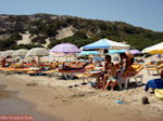 JustGreece.com Paradise Beach Kos - Greece  Photo 19 - Foto van JustGreece.com