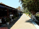 JustGreece.com Tigaki Kos - Greece  Photo 7 - Foto van JustGreece.com