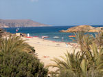 Vai Crete - Lassithi Prefecture - Photo 4 - Photo JustGreece.com