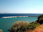 JustGreece.com Agia Galini Crete - Rethymno Prefecture photo 48 - Foto van JustGreece.com