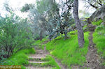 JustGreece.com Walk to the top of the Filopappou Athens hill - Foto van JustGreece.com
