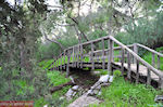 JustGreece.com Houten brug at the helling of Filopappou Athens hill - Foto van JustGreece.com