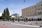 Duiven on the Plateia Syntagmatos - Syntagma Square - Photo JustGreece.com