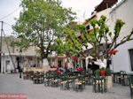 JustGreece.com Taverna's, cafe's and restaurants in Anogia (Rethymnon Crete) - Foto van JustGreece.com