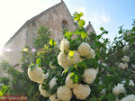 JustGreece.com Monastery Arkadi Rethymnon - Foto van JustGreece.com