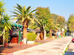 Terraces Eretria | Euboea Greece | Greece  - Photo JustGreece.com