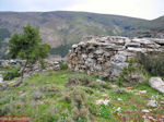 Drakospita (Drakenhuizen) South Evia. near Marmari Euboea and Karystos. - Photo JustGreece.com