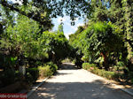 JustGreece.com The gemeentelijke park of Rethymnon - Foto van JustGreece.com