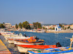 Vissersbootjes Nea Artaki | Euboea Greece | Greece  - Photo JustGreece.com