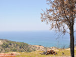 JustGreece.com The zee from een heuvel near Kamiros (Rhodes) - Foto van JustGreece.com