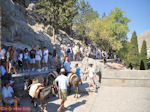 JustGreece.com Ezels on the hill of Lindos (Rhodes) - Foto van JustGreece.com