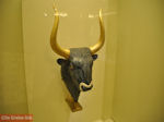 The Minoische Stierenkop - Photo JustGreece.com