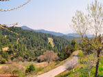 JustGreece.com Green surroundings Osios David near Rovies | Euboea Greece | Greece  - Foto van JustGreece.com