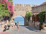 Rhodes town - Dodecanese - Greece Guide photo 17 - Photo JustGreece.com