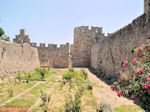 Rhodes town - Dodecanese - Greece Guide photo 22 - Photo JustGreece.com