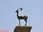 Rhodes town - Dodecanese - Greece Guide photo 11 - Photo JustGreece.com