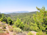 JustGreece.com Petaloudes - Valley of Butterflies Rhodes - Dodecanese Greece photo 4 - Foto van JustGreece.com